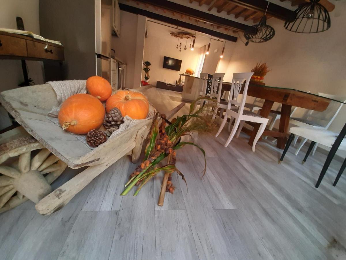 B&B Da Baba Ghizzano Eksteriør billede